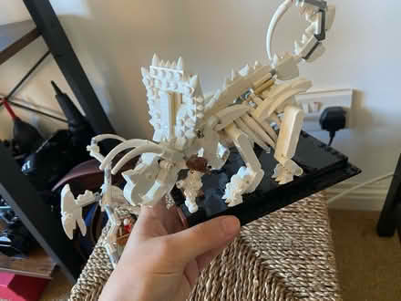 Photo of free Lego set - Dinosaurs (Isleworth, TW7) #2