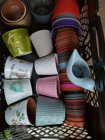 Photo of free 40+ Plant pots & covers (Bowerham LA1) #2