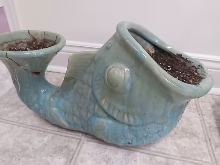 Photo of free Quirky fish planter (Wellington village) #1