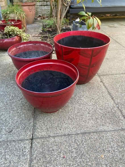 Photo of free 3 planters (Teddington TW1) #3