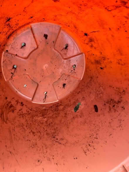 Photo of free Very large pots (Frodsham WA6) #2