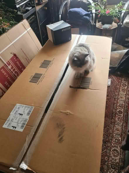 Photo of free Big Cardboard Box (Loanhead, EH20) #1