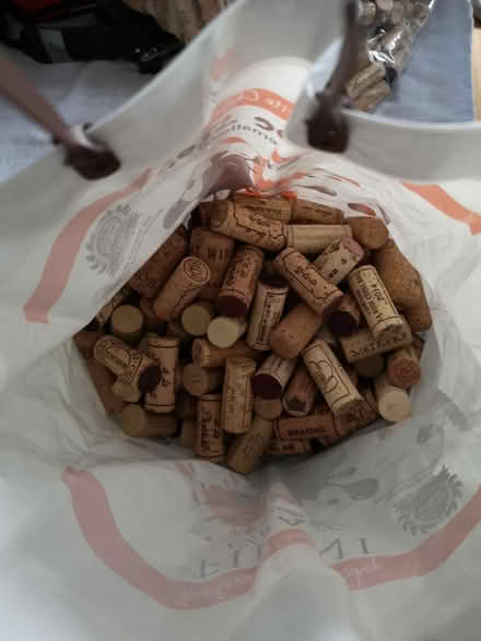 Photo of free Wine corks (Harlesden) #1