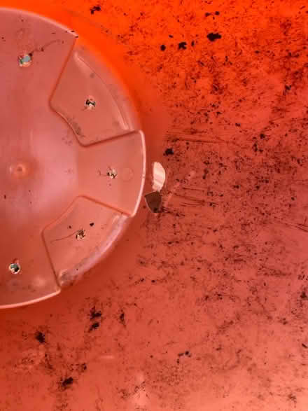 Photo of free Very large pots (Frodsham WA6) #4