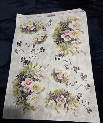 Photo of free Rice Paper (off Fisher Blvd) #1