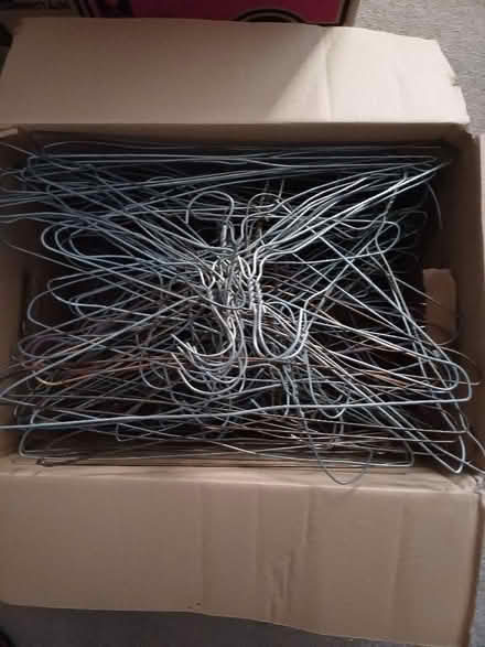 Photo of free Metal coathangers (Flagg SK17) #1