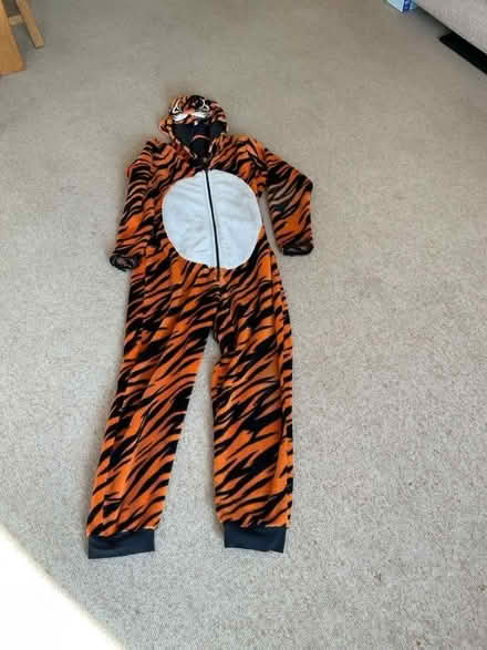 Photo of free Tiger onesie age 13-14 (Leckhampton GL53) #1