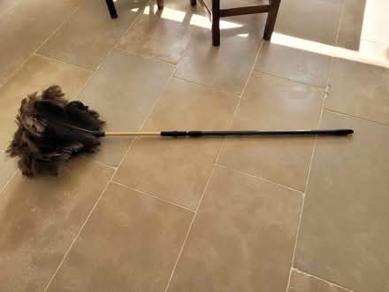 Photo of free Feather duster (Wimborne,Colehill) #1
