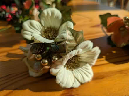 Photo of free 'picks' (Seaford BN25) #1