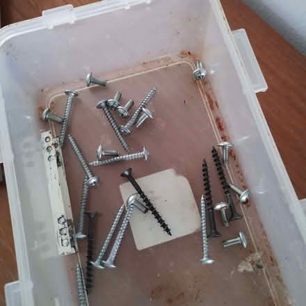 Photo of free 10 Pine Knob Handles & Drawer Sliders (Rayleigh SS6) #2