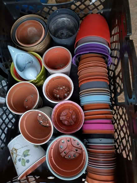 Photo of free 40+ Plant pots & covers (Bowerham LA1) #1