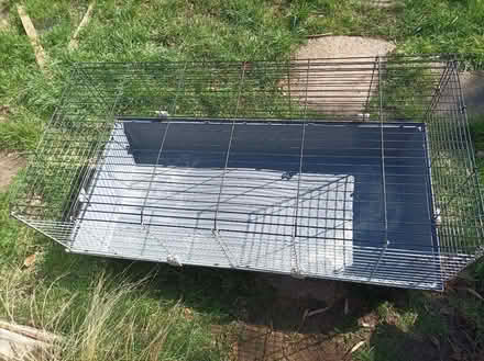 Photo of free Rabbit/guinea pig cage (Chippenham SN15) #1