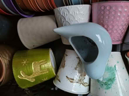 Photo of free 40+ Plant pots & covers (Bowerham LA1) #3