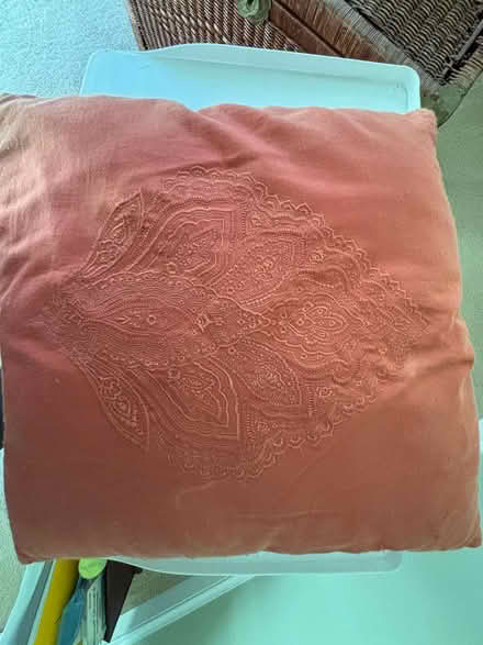 Photo of free Throw pillow (Bethesda) #1