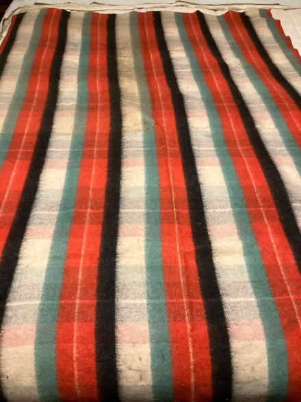 Photo of free Small thin throw (Bensenville) #1
