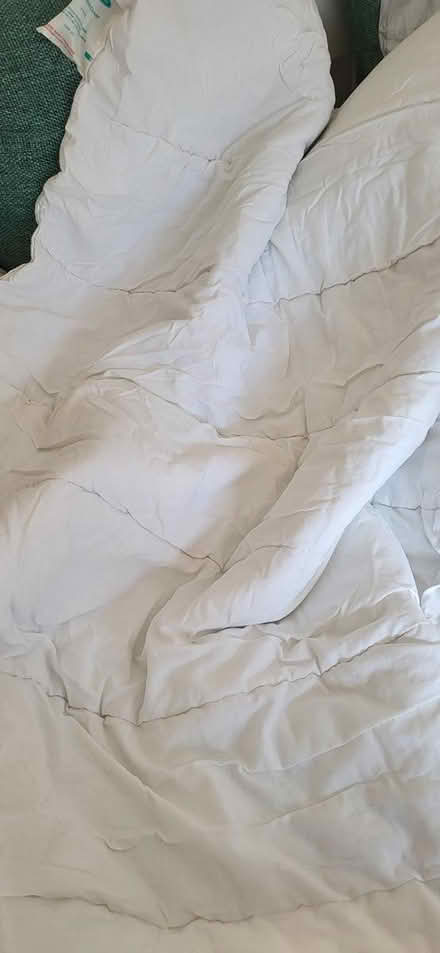 Photo of free Coy Bed Duvet (Warlingham CR6) #2