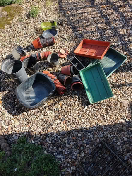 Photo of free Plant pots trays (Alresford CO7) #1