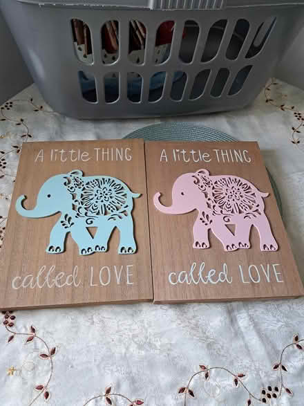 Photo of free Elephant pictures (Gosport PO13) #1