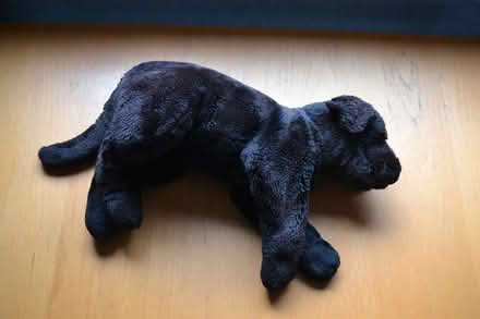 Photo of free soft stuffed bears (Glenrothes KY7) #1