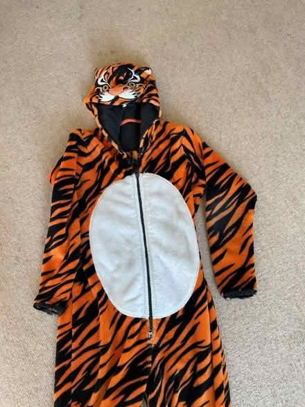 Photo of free Tiger onesie age 13-14 (Leckhampton GL53) #2