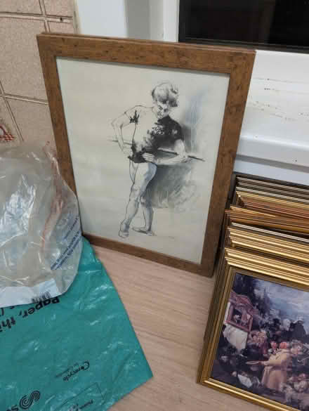 Photo of free Pictures all different (Great Horton BD5) #2
