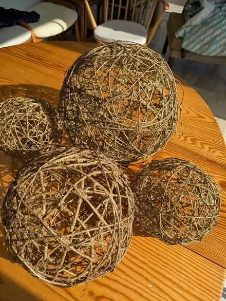 Photo of free Willow balls (Seaford BN25) #2