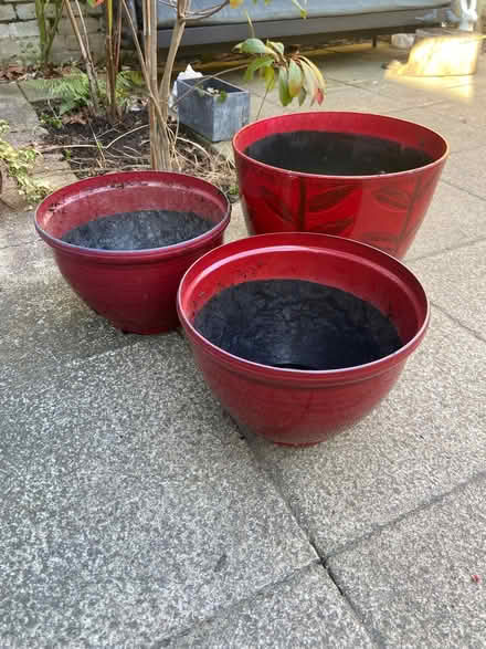 Photo of free 3 planters (Teddington TW1) #2