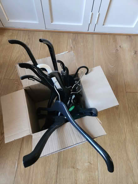 Photo of free Plastic hangers (Kenley) #1