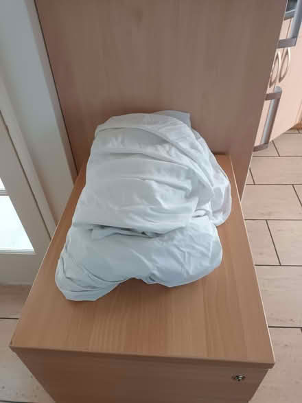 Photo of free Dust sheets x2 (Molesey TW12) #1