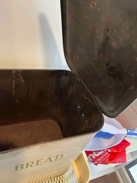 Photo of free Vintage bread bin (Hove (Blatchington windmill)) #2