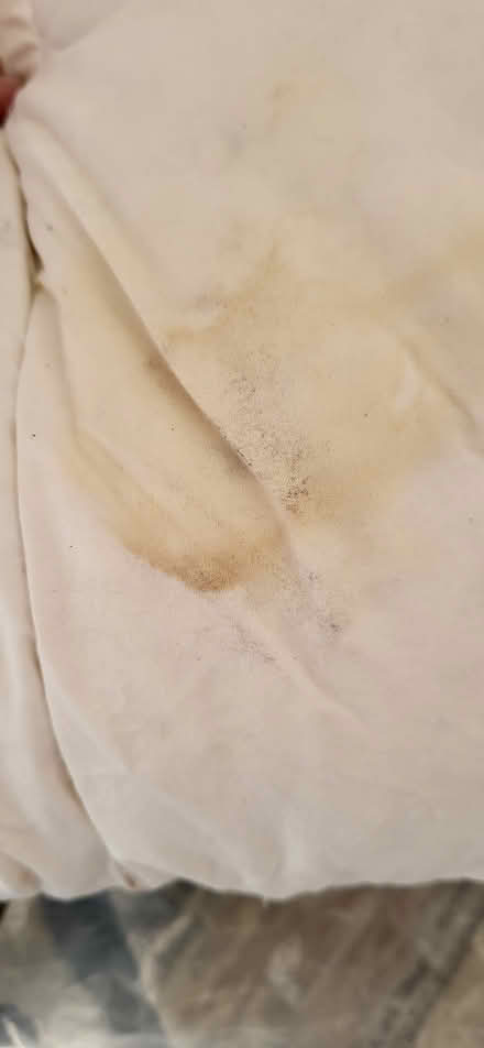 Photo of free Single Duck feather Duvet IKEA (Warlingham CR6) #2