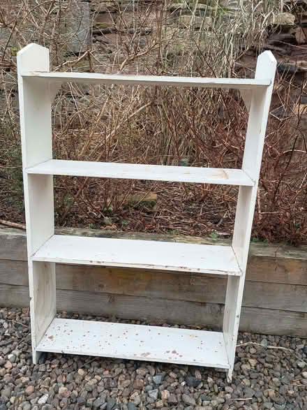 Photo of free Shelves (North Sunderland NE68) #1