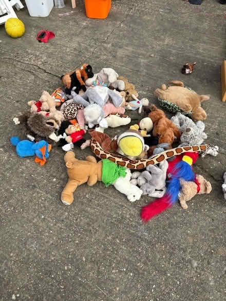 Photo of free Teddies (Gipton LS8) #1