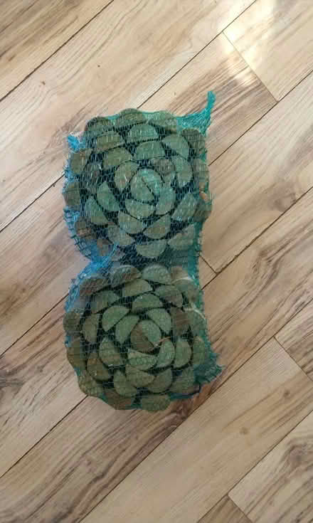 Photo of free Wood garden edging (HP2 heme Hempstead) #1