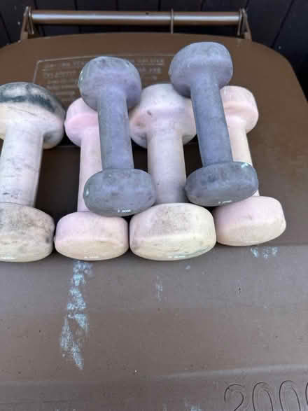 Photo of free Hand weights (Ascot SL5) #1