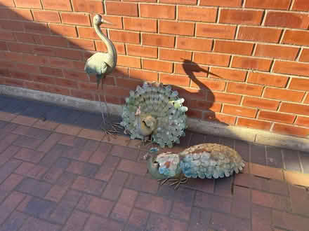 Photo of free 3 garden ornaments,peacocks & heron (Mansfield nottinghamshire) #1