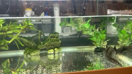 Photo of Fish tank (S8) #1