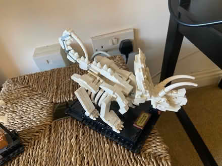 Photo of free Lego set - Dinosaurs (Isleworth, TW7) #1