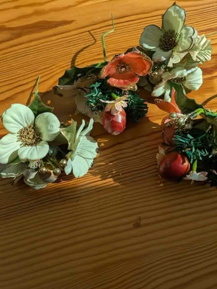 Photo of free 'picks' (Seaford BN25) #3