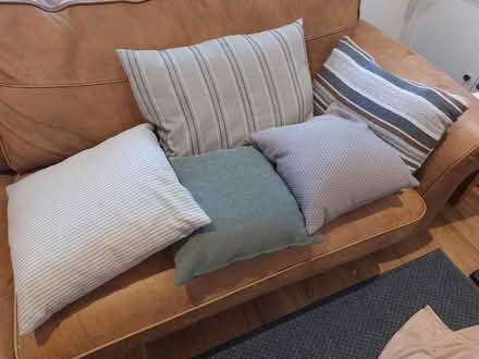 Photo of free Cushions-neutral colours- feather (BA2) #1