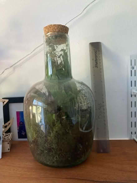 Photo of free terrarium (Cannon Park CV4) #1