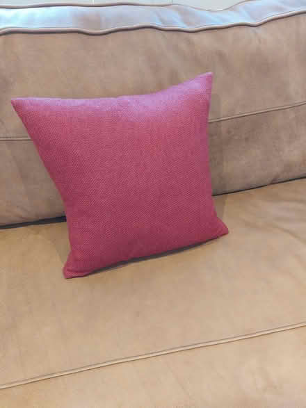 Photo of free Raspberry cushion feather inner (BA2) #1