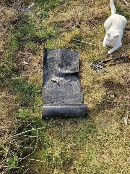 Photo of free Small Strip Of Shed Felt (CT5) #1