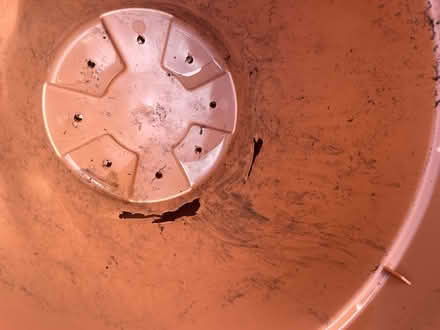 Photo of free Very large pots (Frodsham WA6) #3