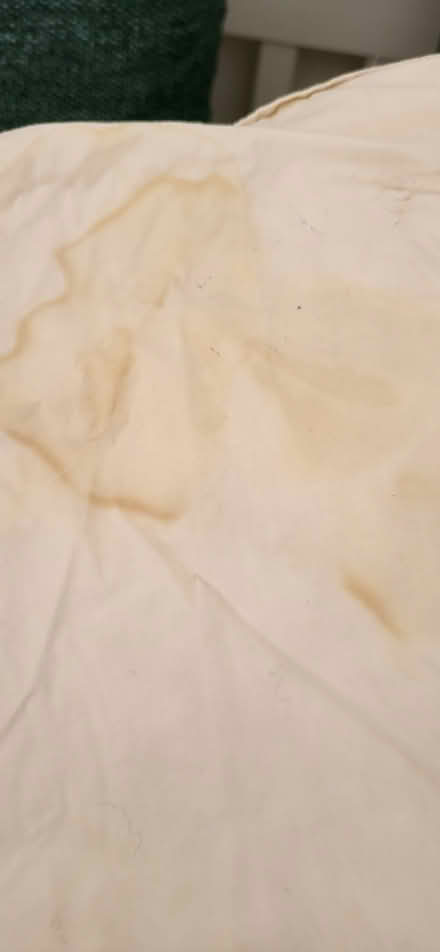 Photo of free Single Duck feather Duvet IKEA (Warlingham CR6) #3