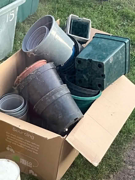 Photo of free Plant pots (Bath, odd down) #1