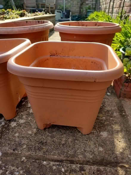Photo of free 4 X garden planters (plastic) (Eastbourne BN21 2) #2