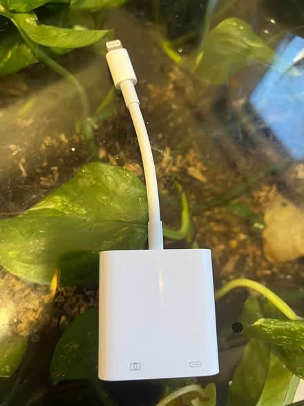 Photo of free Apple lightning to something cord (Bushwick) #1