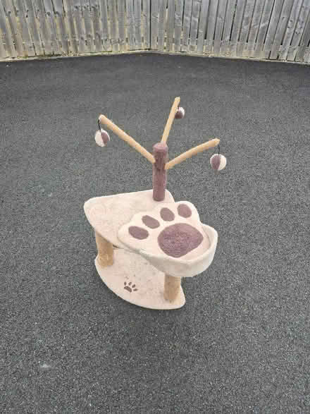 Photo of free Cat scratcher (West Breary LS16) #2