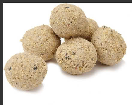 Photo of free Fat balls bird food (Cottle's Oak BA11) #1